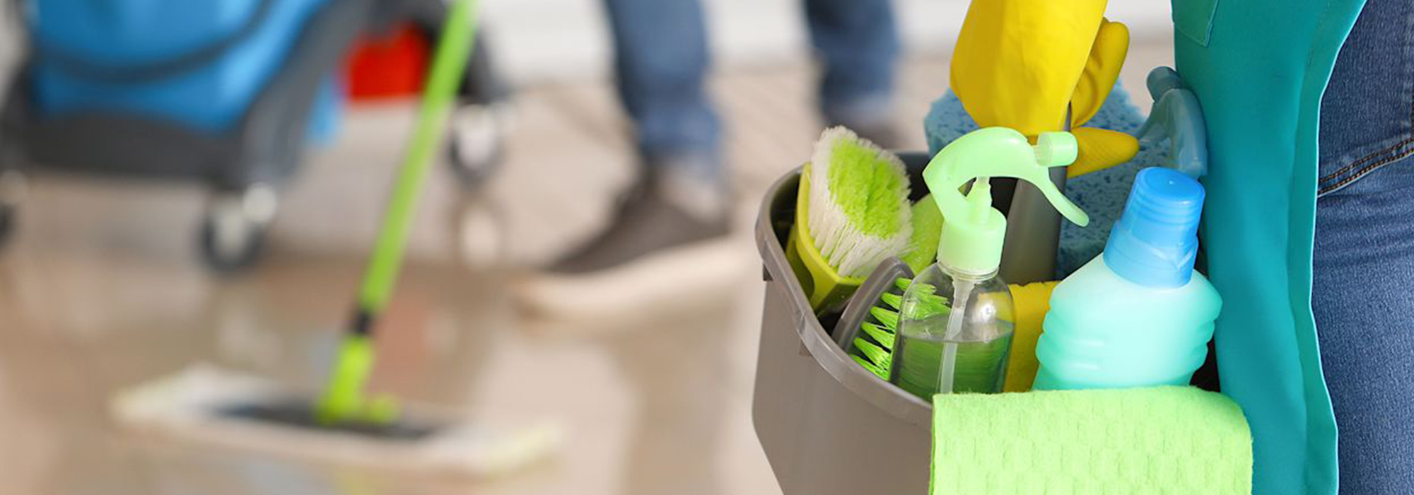 Upholstery Cleaning